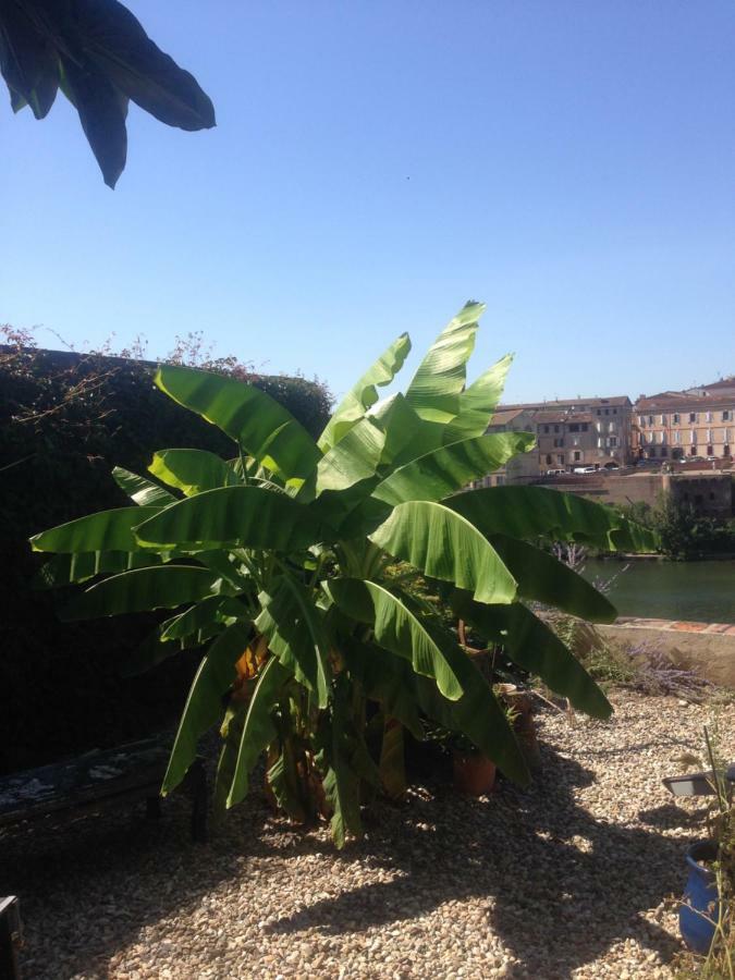 Comfort And Fab Views Albi Bagian luar foto