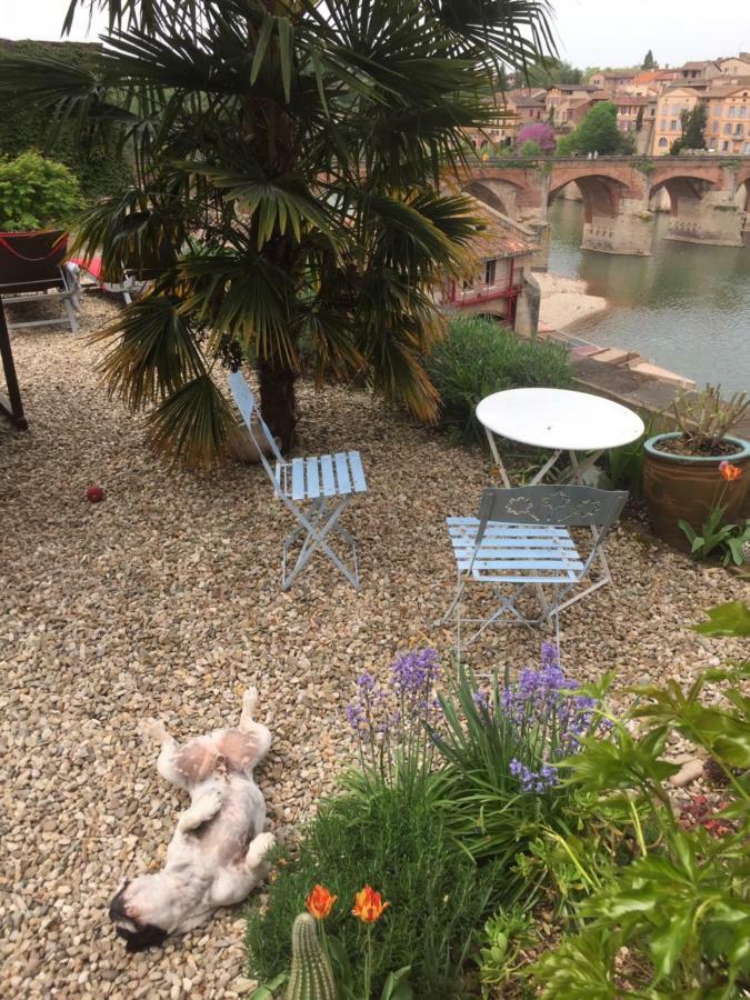 Comfort And Fab Views Albi Bagian luar foto
